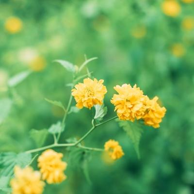 天际战舰九游版下载